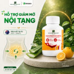 [WEALTHY HEALTH] MAXI ORGAN FAT DETOX -  Sản Phẩm Hỗ Trợ Bảo Vệ Sức Khoẻ Tổng Thể, Hỗ Trợ Giảm Mỡ Nội Tạng