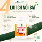 [WEALTHY HEALTH] MAXI ORGAN FAT DETOX -  Sản Phẩm Hỗ Trợ Bảo Vệ Sức Khoẻ Tổng Thể, Hỗ Trợ Giảm Mỡ Nội Tạng - Image 6