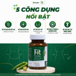Fit Thái Minh - Sản Phẩm Hỗ Trợ Cải Thiện Sức Khoẻ Toàn Diện Có Nghiên Cứu Lâm Sàng - Hộp 120 viên - Image 3