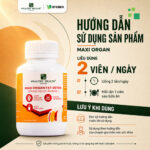 [WEALTHY HEALTH] MAXI ORGAN FAT DETOX -  Sản Phẩm Hỗ Trợ Bảo Vệ Sức Khoẻ Tổng Thể, Hỗ Trợ Giảm Mỡ Nội Tạng - Image 5