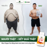 [WEALTHY HEALTH] MAXI ORGAN FAT DETOX -  Sản Phẩm Hỗ Trợ Bảo Vệ Sức Khoẻ Tổng Thể, Hỗ Trợ Giảm Mỡ Nội Tạng - Image 4