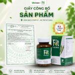 Fit Thái Minh - Sản Phẩm Hỗ Trợ Cải Thiện Sức Khoẻ Toàn Diện Có Nghiên Cứu Lâm Sàng - Hộp 120 viên - Image 7