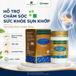 Wealthy Health - Sụn Cá Mập - Sản phẩm hỗ trợ xương khớp - 100 viên - Hàng nhập khẩu chính hãng từ Úc