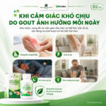 [Wealthy Health] Gout Support Hỗ Trợ Gút Từ Thảo Mộc Tự Nhiên , Bảo Vệ Sức Khỏe Tổng Thể Của Đường Tiết Liệu - Image 2