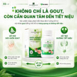 [Wealthy Health] Gout Support Hỗ Trợ Gút Từ Thảo Mộc Tự Nhiên , Bảo Vệ Sức Khỏe Tổng Thể Của Đường Tiết Liệu - Image 6