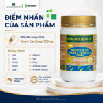 Wealthy Health - Sụn Cá Mập - Sản phẩm hỗ trợ xương khớp - 100 viên - Hàng nhập khẩu chính hãng từ Úc - Image 7