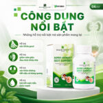 [Wealthy Health] Gout Support Hỗ Trợ Gút Từ Thảo Mộc Tự Nhiên , Bảo Vệ Sức Khỏe Tổng Thể Của Đường Tiết Liệu - Image 5