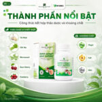 [Wealthy Health] Gout Support Hỗ Trợ Gút Từ Thảo Mộc Tự Nhiên , Bảo Vệ Sức Khỏe Tổng Thể Của Đường Tiết Liệu - Image 4