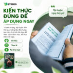 [BYE BÉO BOOK] Sách Bye Béo 1 - Cách Giảm 7Kg Trong 30 Ngày | Phan Bảo Long biên soạn - Image 4